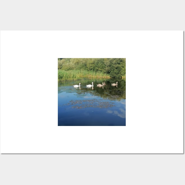 cute Swans at peace (swans band, swans band logo, swans filth, swans, swans to be kind) Wall Art by Thepurplepig